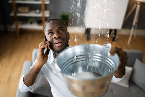 Best Flooded house restoration  in Tice, FL
