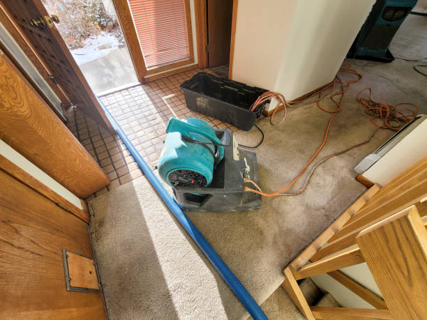 Best Emergency water damage restoration  in Tice, FL