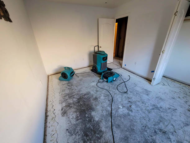 Best Basement water damage restoration  in Tice, FL