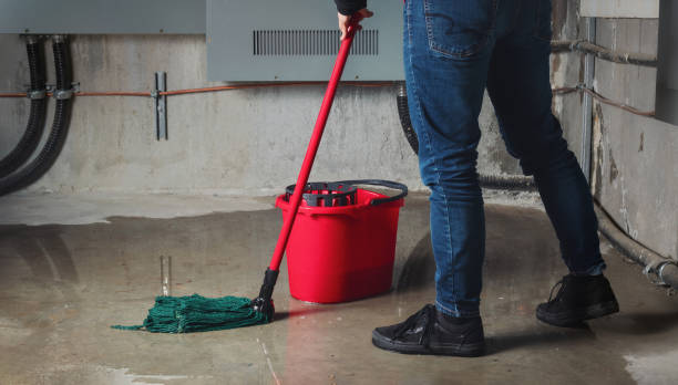 Best Water damage restoration near me  in Tice, FL
