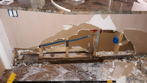 Best Water damage cleanup near me  in Tice, FL
