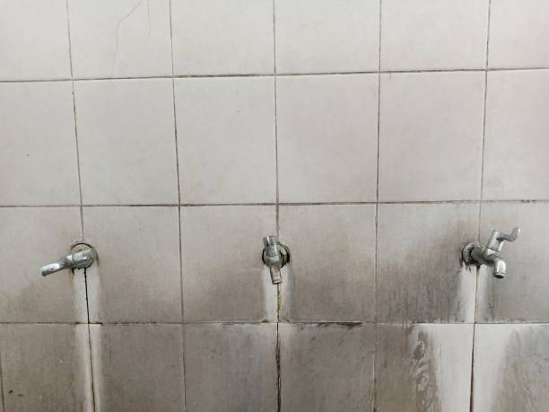 Best 24/7 water damage repair  in Tice, FL