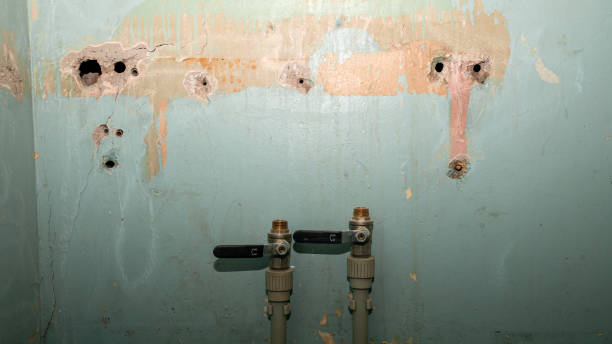 Best Fire Damage Restoration  in Tice, FL