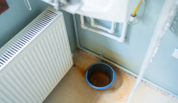 Best 24-hour water damage restoration  in Tice, FL