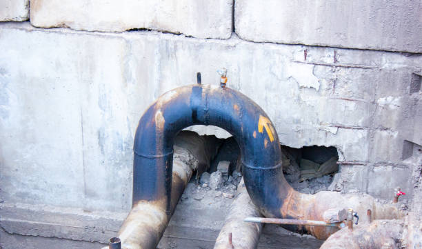 Best Water damage restoration near me  in Tice, FL