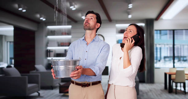 Best Basement water damage restoration  in Tice, FL